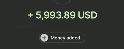 Payment received: 5,993.89 USD
