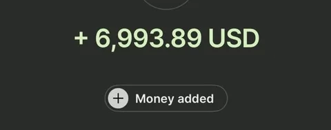 Payment received: 6,993.89 USD